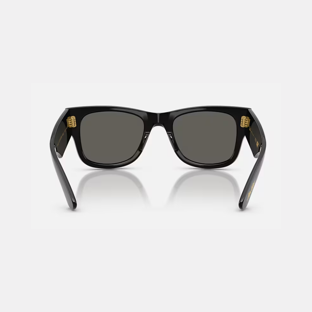 MEGA WAYFARER A$AP ROCKY BLACKED OUT COLLECTION